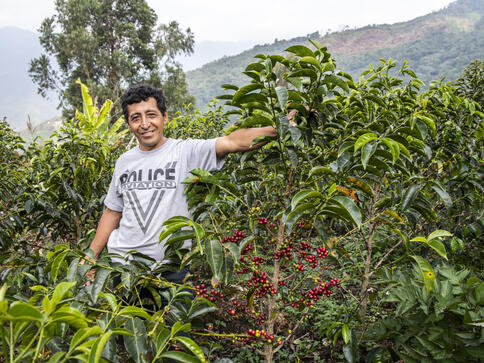 Fairtradecoffee