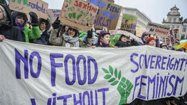 women's march 2023 no food sovereignty without feminism