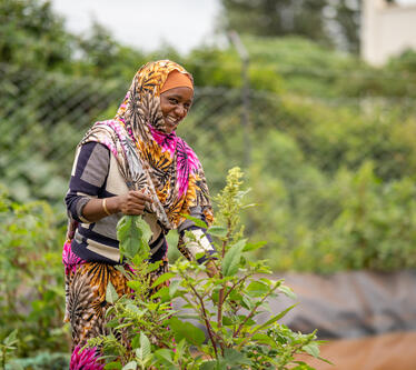 Bokayo a suivi une formation aux pratiques agricoles durables, Kenya