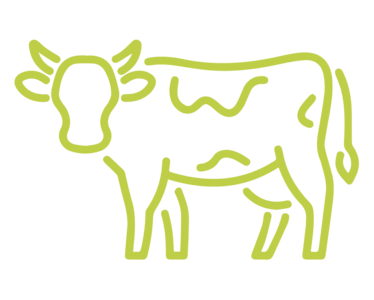 Logo of a cow