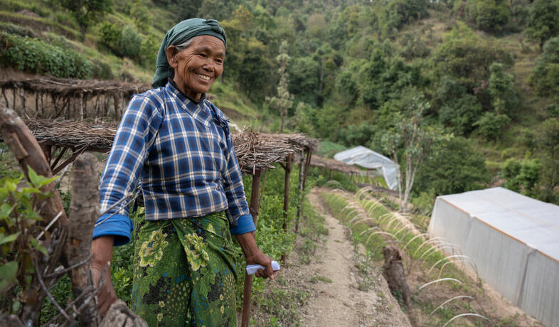 une jardinière dans une pépinière de la région de Jorayal au Népal