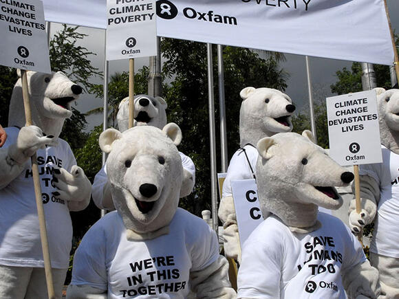 Ijsberen van Oxfam