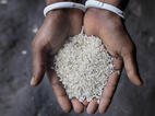 Rijst sparen Bangladesh
