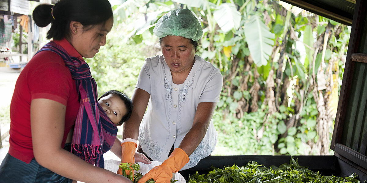 40 jaar Oxfam in Laos