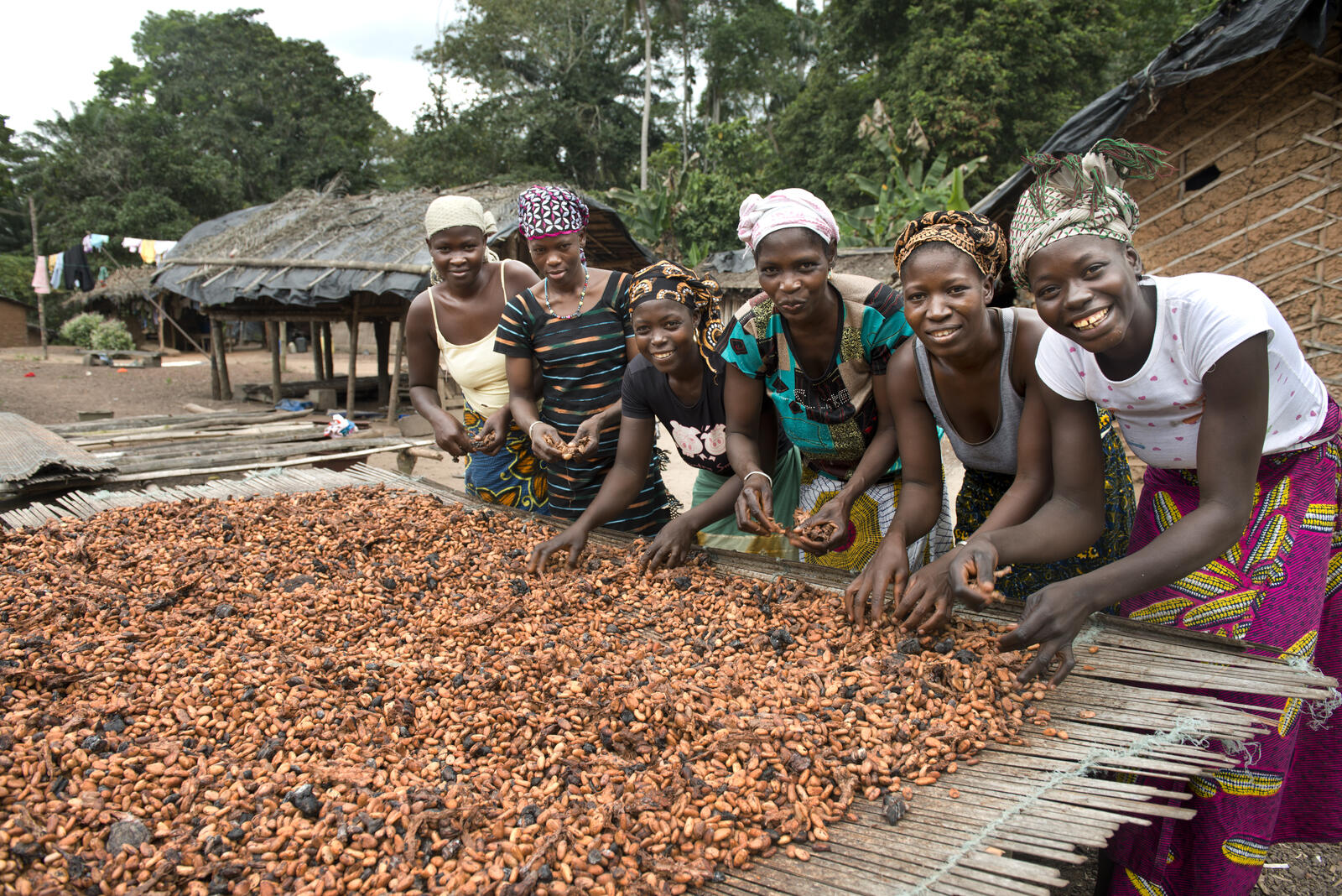 Coopasa, coöperatie cacao